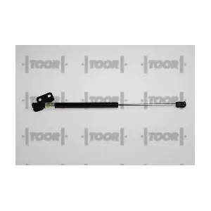 SX41595 TOOR
