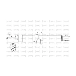 SG15461 TOOR