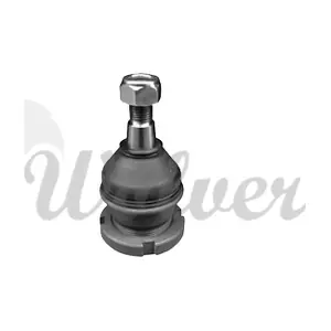 SP111010 WOLVER