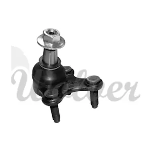 WOLVER SP125981