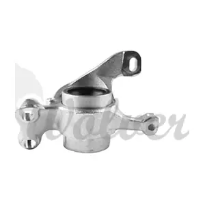 SP527851 WOLVER