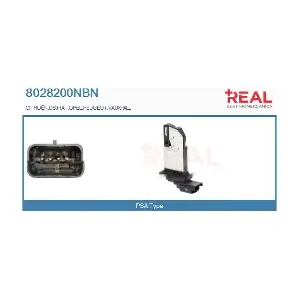 8028200NBN REAL