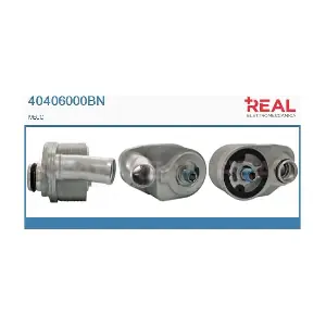 40406000BN REAL