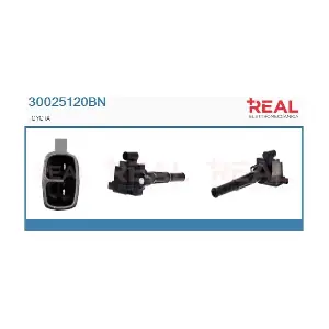 30025120BN REAL