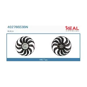 40276653BN REAL