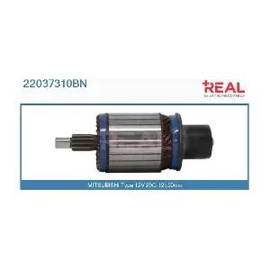 22037310BN REAL