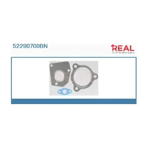 52290700BN REAL