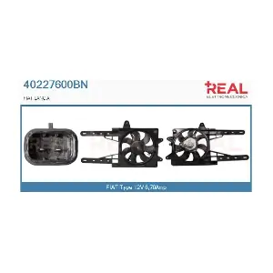 REAL 40227600BN