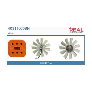 40311000BN REAL