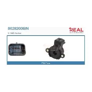 8028200IBN REAL