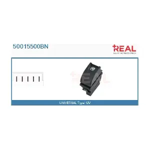 50015500BN REAL