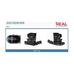 2927620DBN REAL
