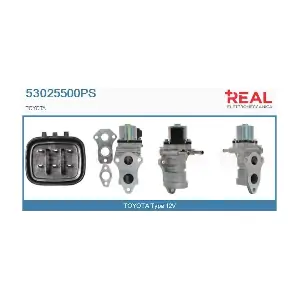 53025500PS REAL