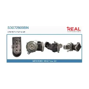53072800BN REAL