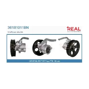 36181011BN REAL