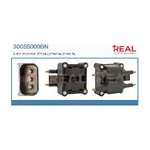 REAL 30055000BN