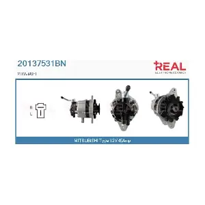 REAL 20137531BN