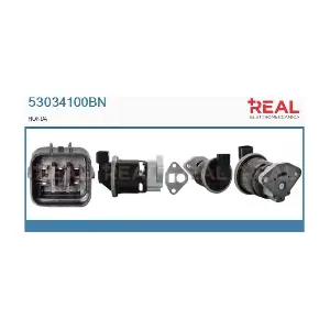 53034100BN REAL