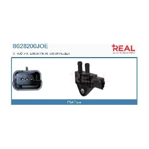 8028200JOE REAL