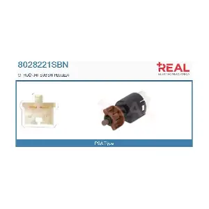 8028221SBN REAL