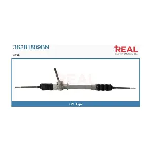 36281809BN REAL