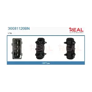 30081120BN REAL