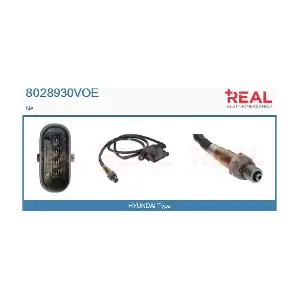 8028930VOE REAL