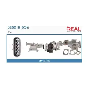 53081610OE REAL