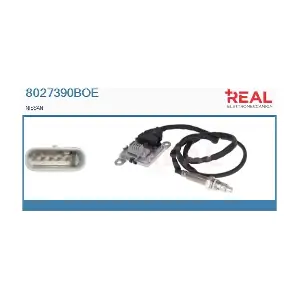 8027390BOE REAL