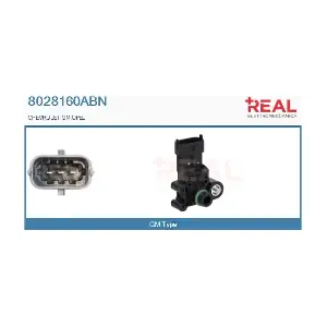 8028160ABN REAL