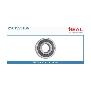 REAL 25613931BN