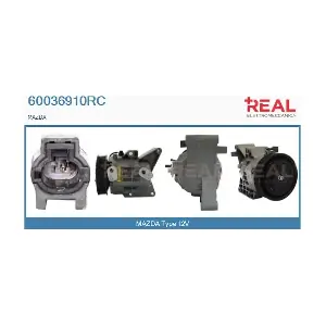 60036910RC REAL