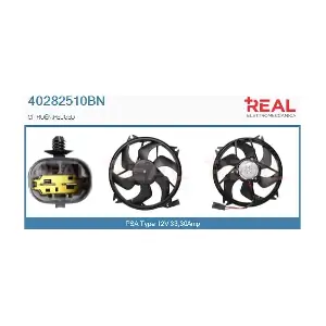 REAL 40282510BN