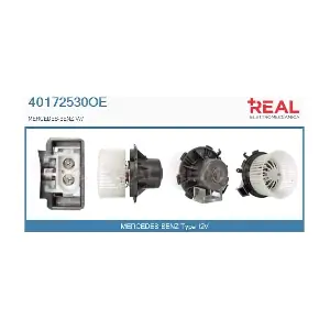 REAL 40172530OE