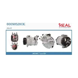 REAL 60090520OE