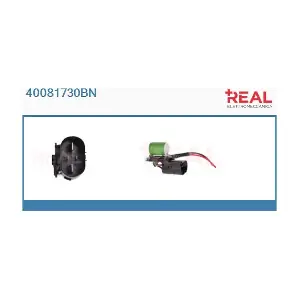 40081730BN REAL