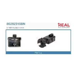 8028231SBN REAL