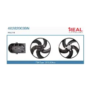 40282003BN REAL