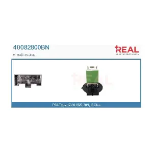 40082800BN REAL