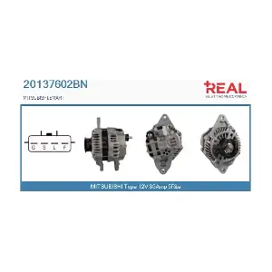 REAL 20137602BN