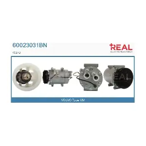 REAL 60023031BN