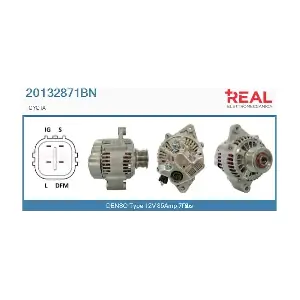 REAL 20132871BN