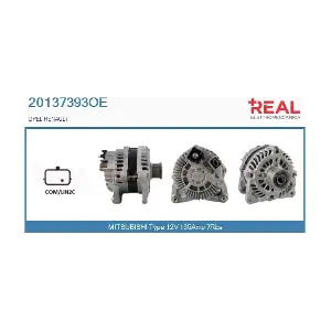 20137393OE REAL