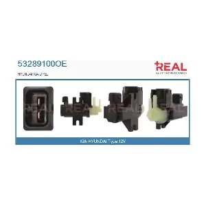 REAL 53289100OE