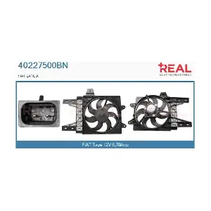 40227500BN REAL