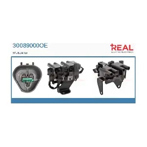30089000OE REAL