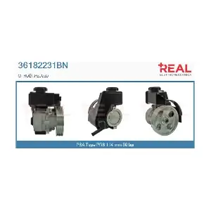 REAL 36182231BN