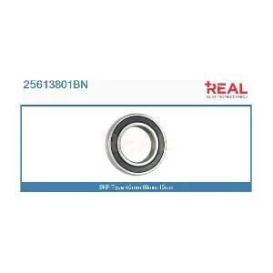 25613801BN REAL