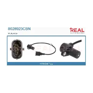 8028923CBN REAL