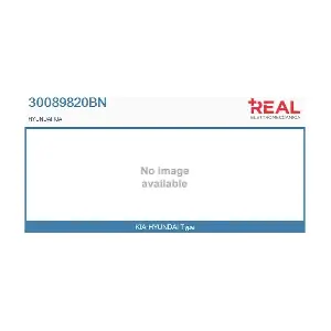 30089820BN REAL